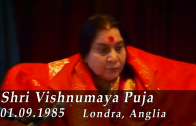 Vishnumaya 1985