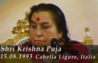 Krishna 1993