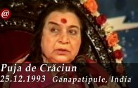 @-Puja de Craciun 1993