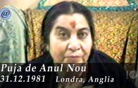 Cover intermed Anul Nou 1981