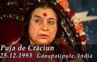 Puja de Craciun 1993