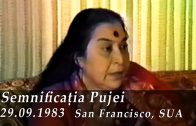 Semnificatia Pujei